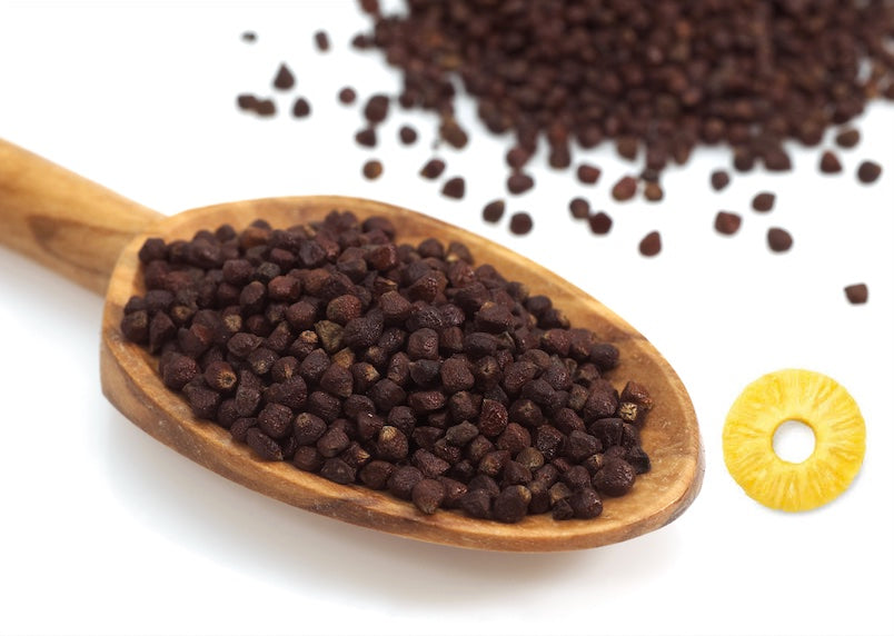 Epic Slim Pina Colada Collagen CaloriBurn GP Grains of Paradise